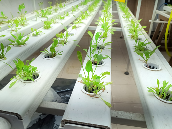 NFT Indoor Multi Level System